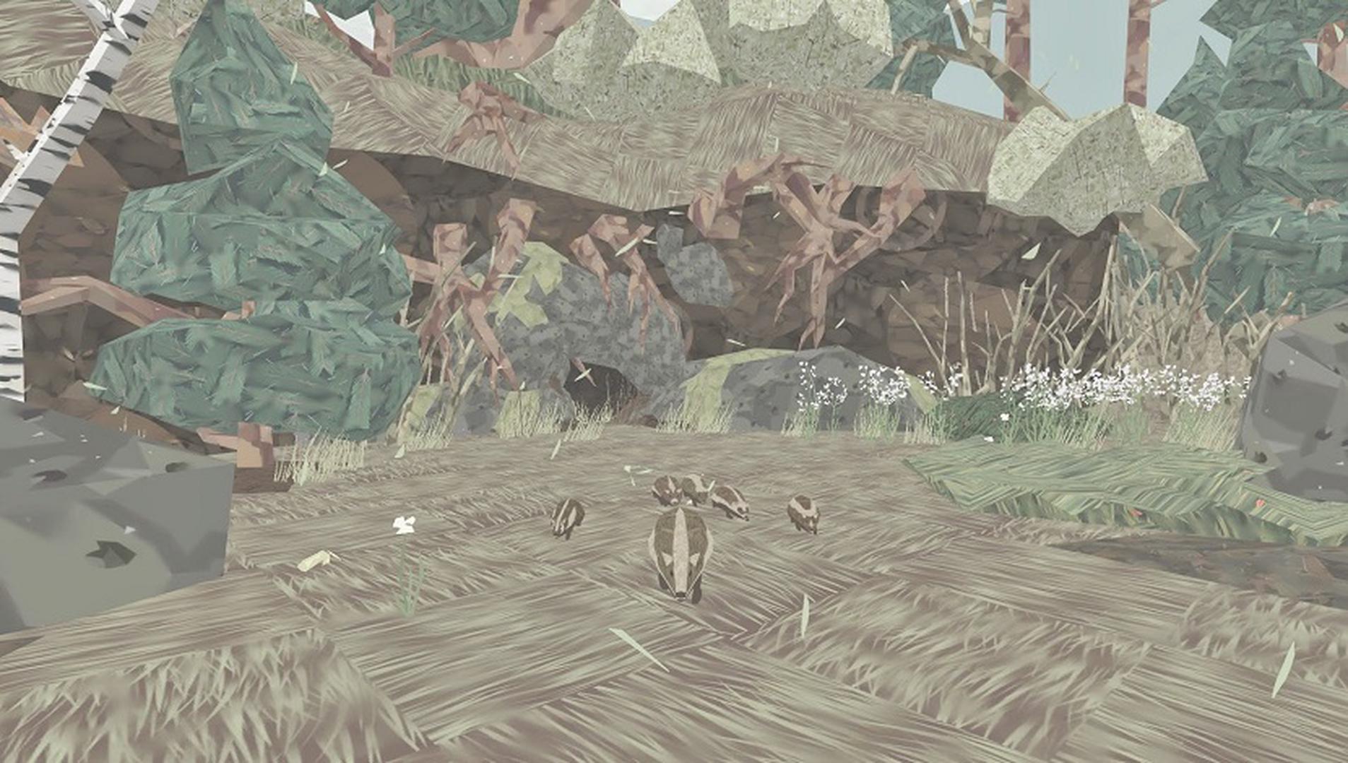 Shelter