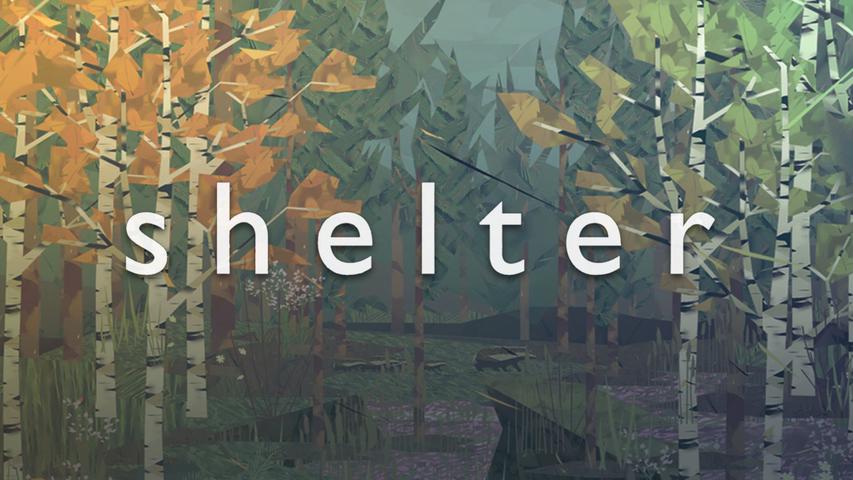 Shelter