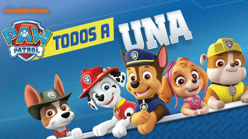 Paw Patrol: On A Roll!