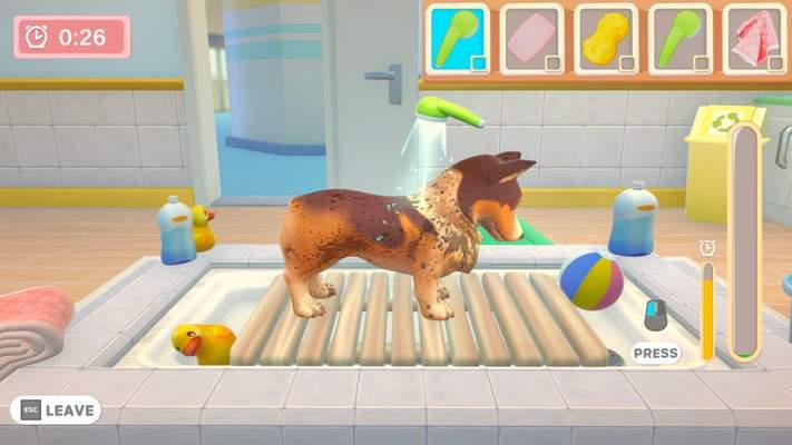 The game for budding vets aged 10 and under.