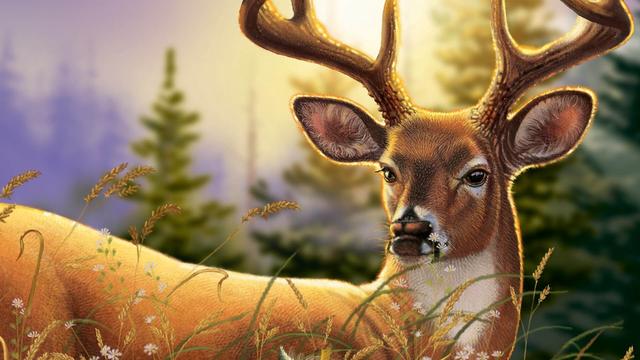 Big Buck Hunter Arcade background
