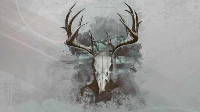 Intruders: Hide and Seek background