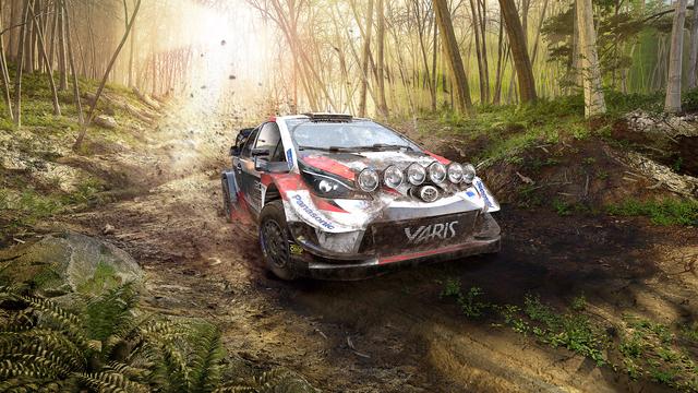 WRC 9 background