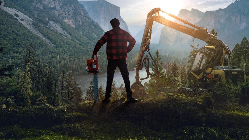 Lumberjack’s Dynasty — cover artwork
