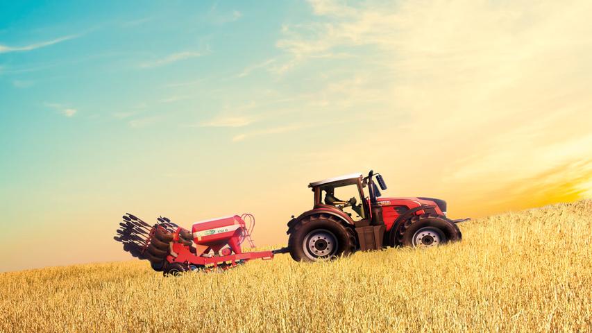 Real Farm – Gold Edition — cover artwork