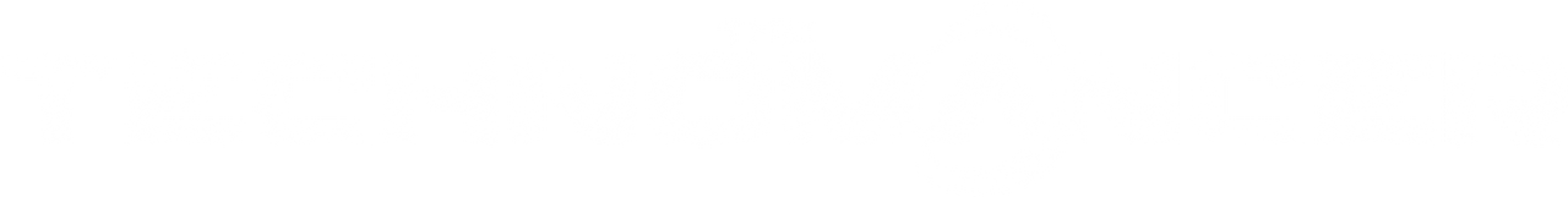 The Technomancer