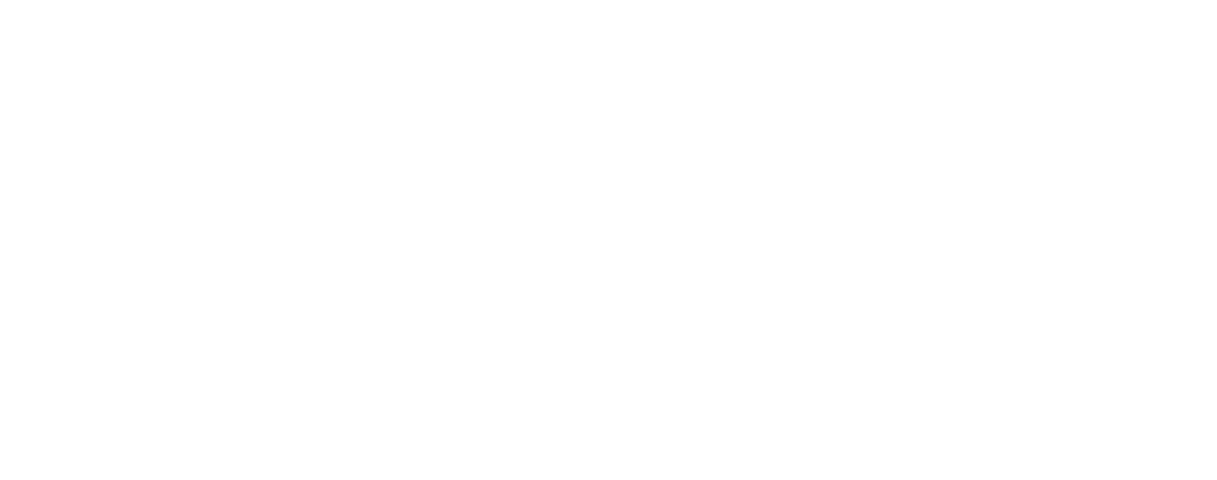 Shadow Tactics : Blades of the Shogun