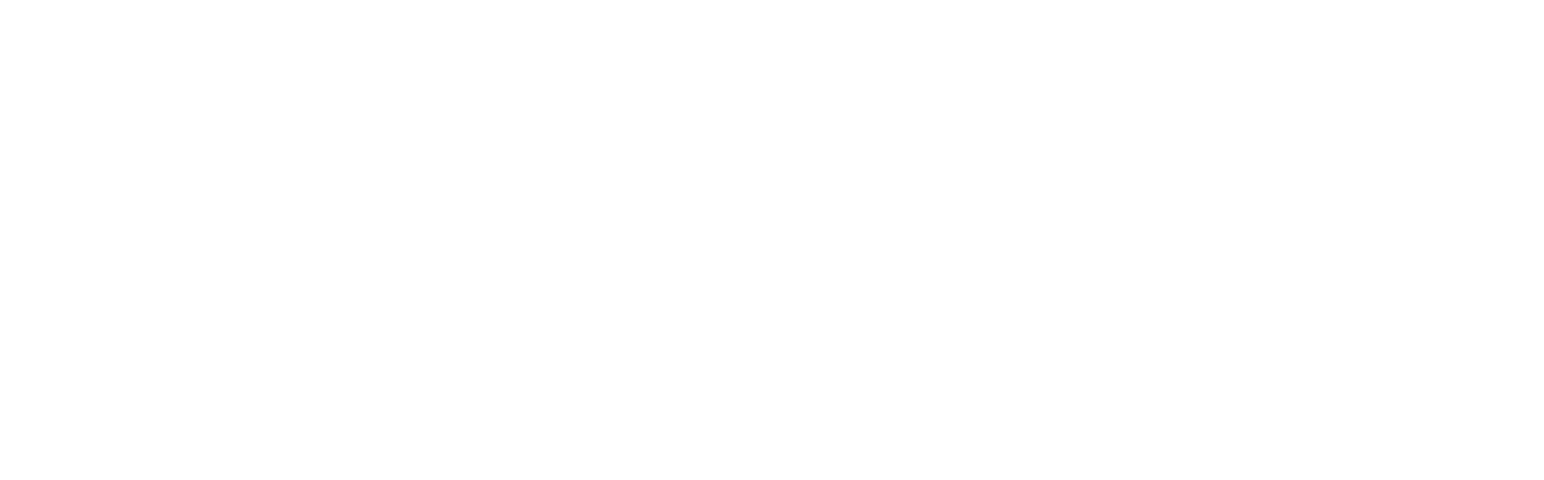 AVICII Invector