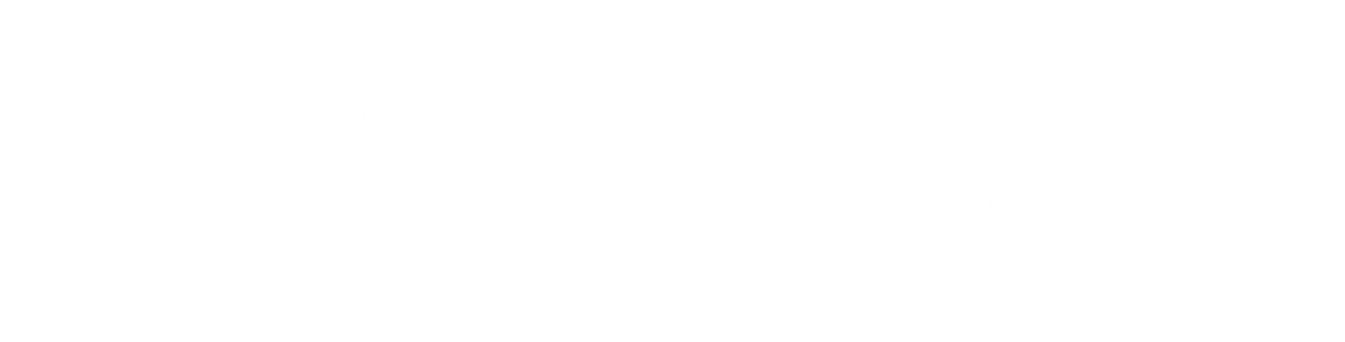 The Town of Light
