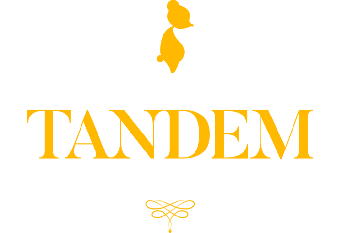 Tandem: A Tale of Shadows