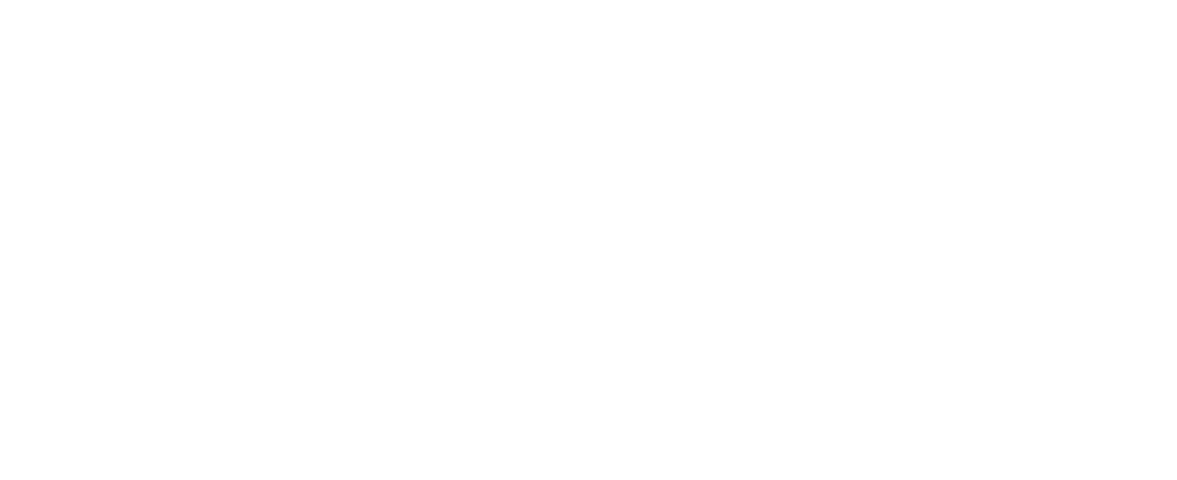 Drone Swarm