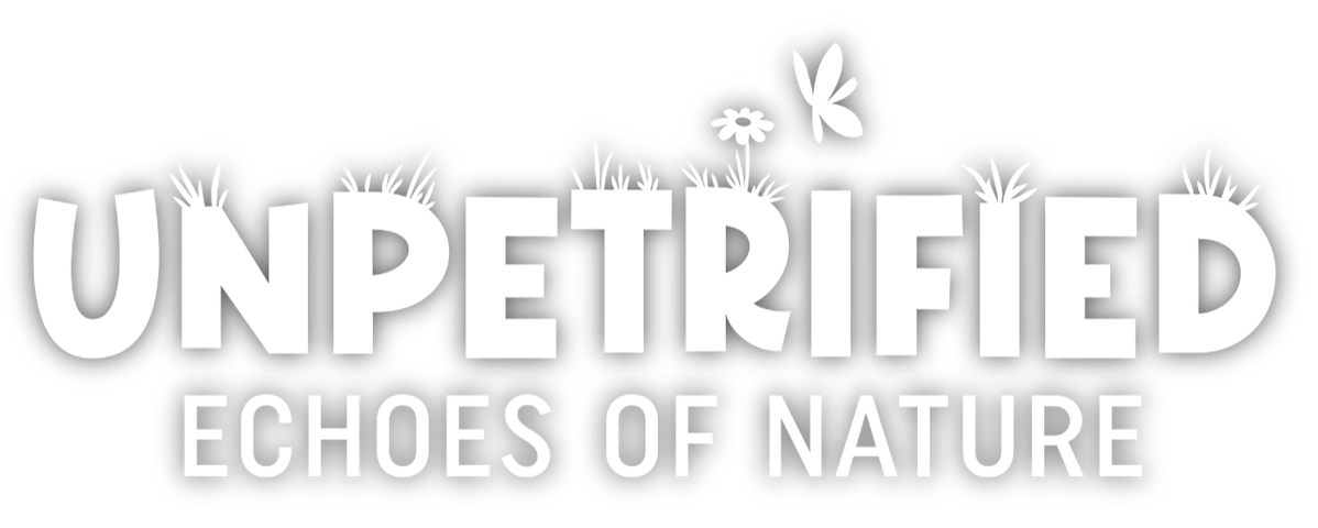 Unpetrified: Echoes of Nature