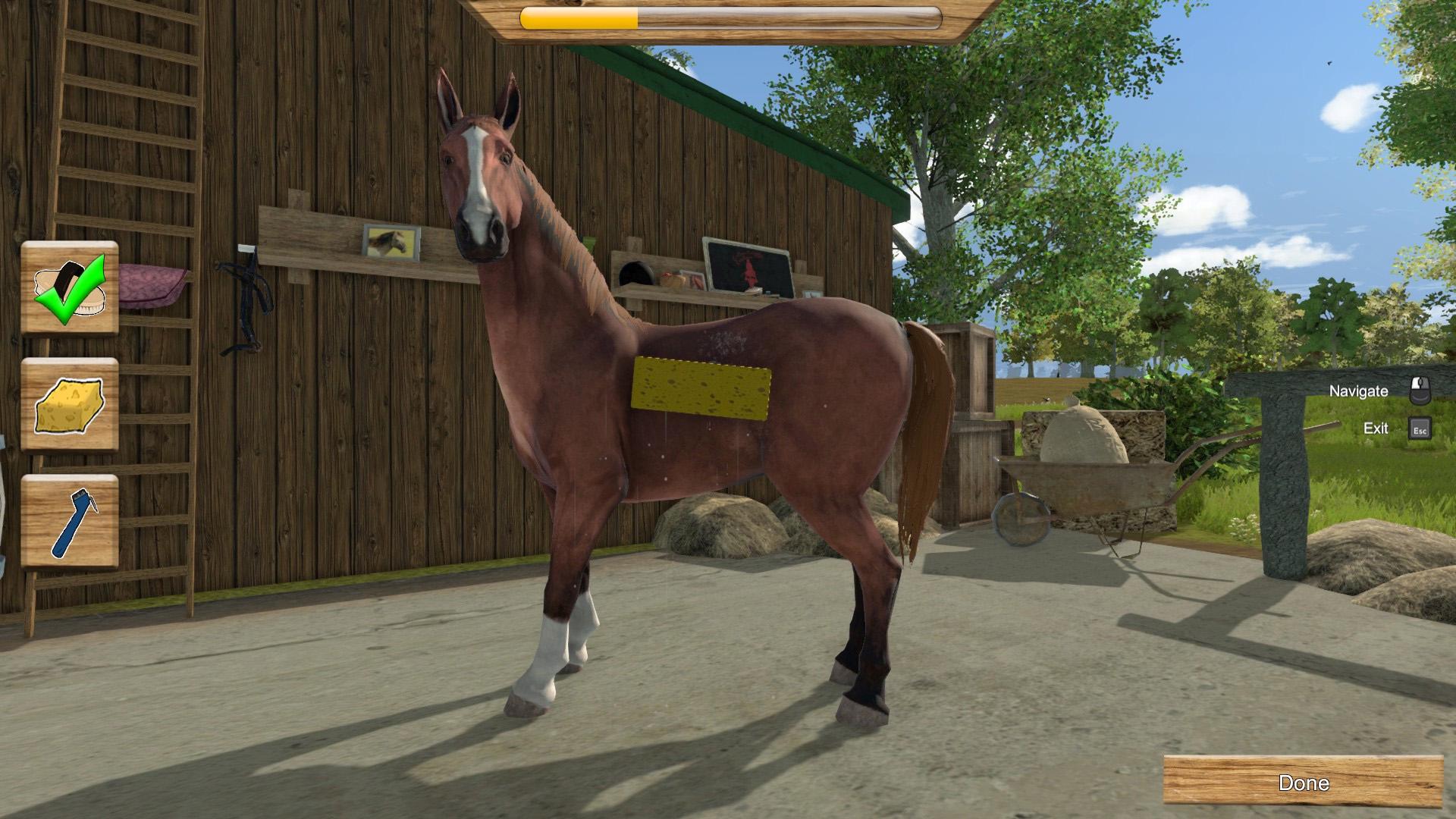 My Little Riding Champion