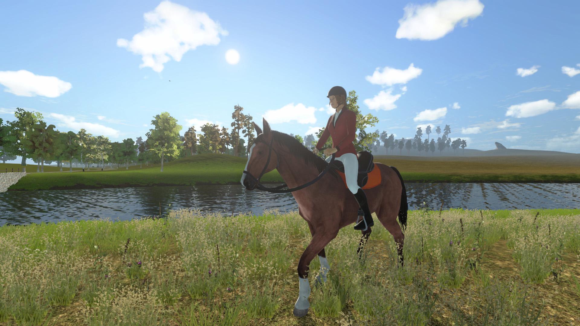 My Little Riding Champion