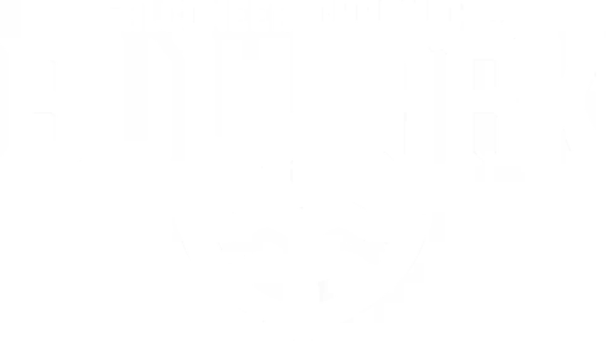 Bulwark: Falconeer Chronicles