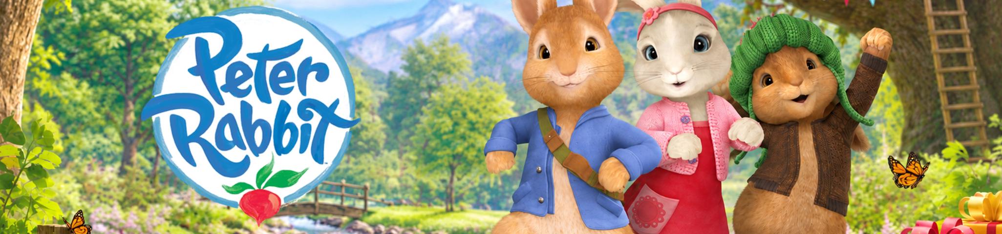 Peter Rabbits Birthday Party