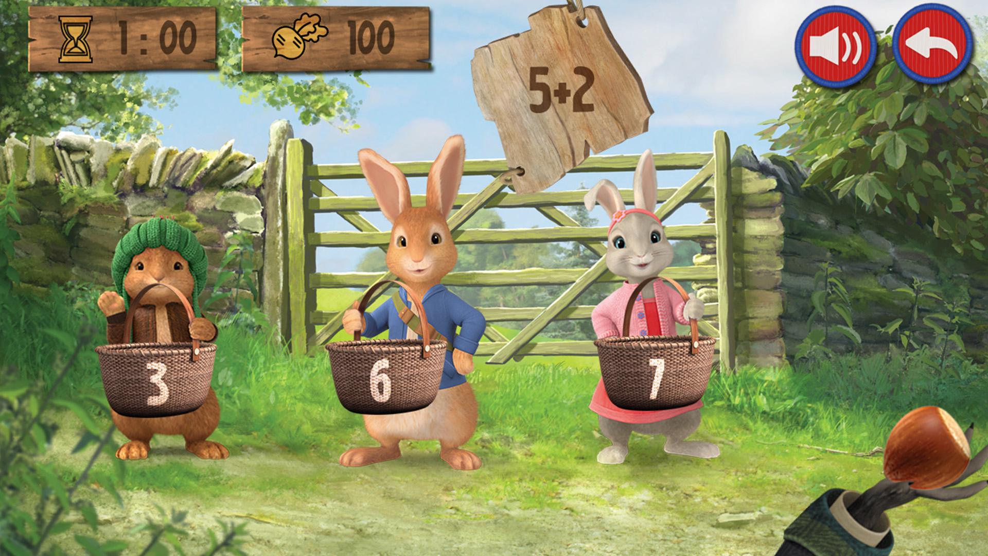 Peter Rabbits Birthday Party